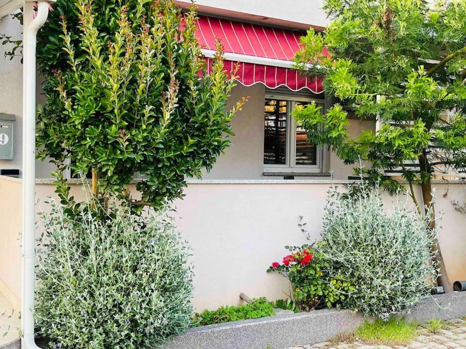 Apartament Mima Pula Zewnętrze zdjęcie